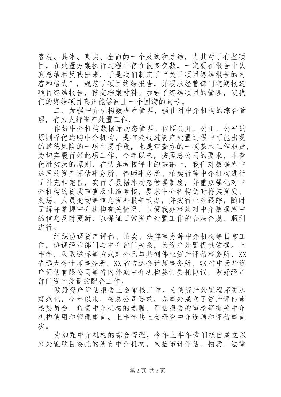 2024年处置办工作总结_第2页