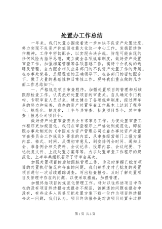 2024年处置办工作总结