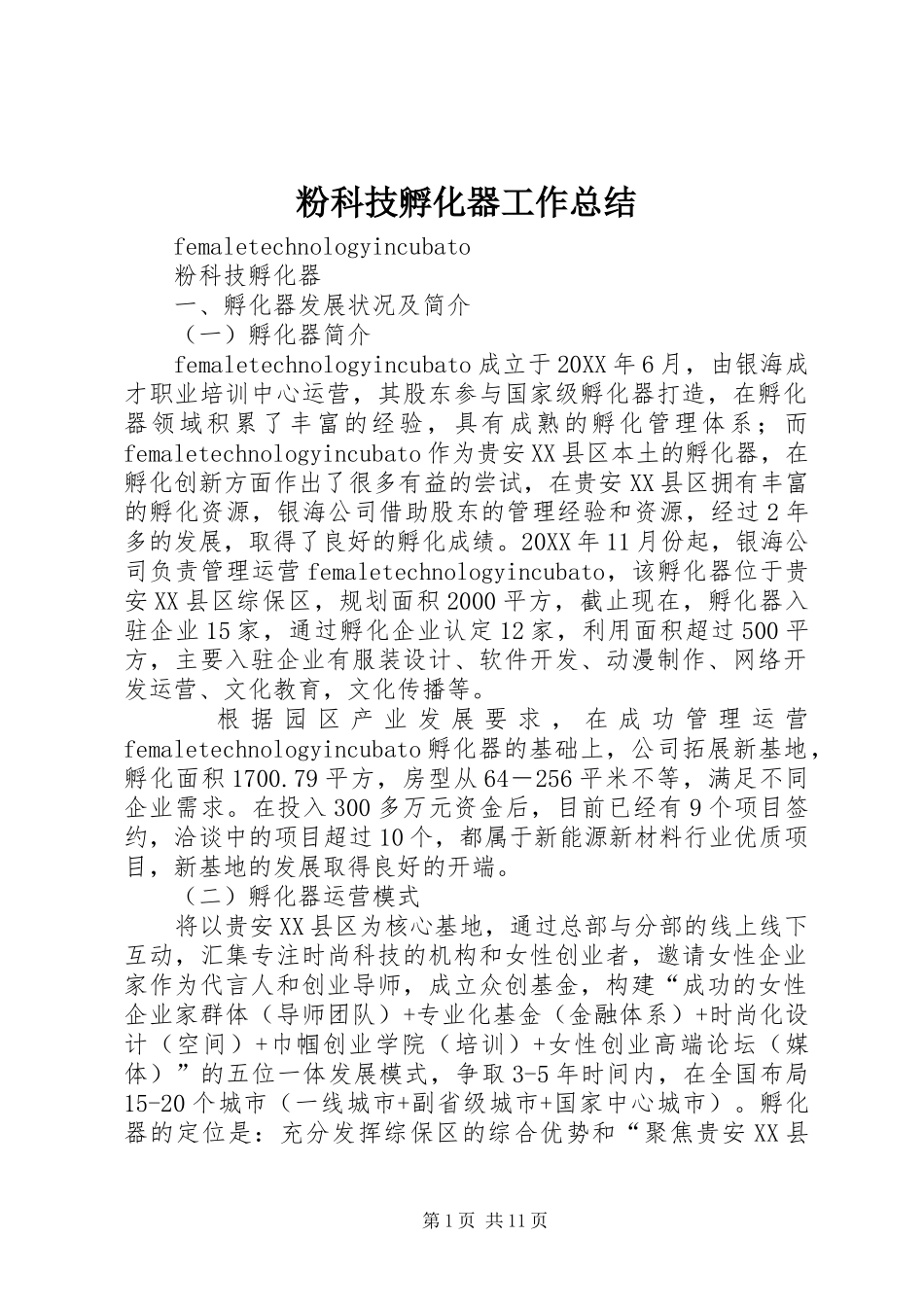2024年粉科技孵化器工作总结_第1页