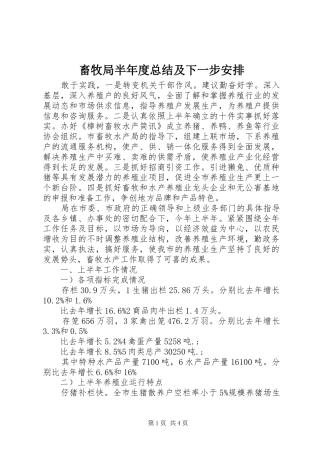 2024年畜牧局半年度总结及下一步安排