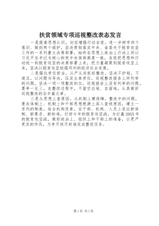 2024年扶贫领域专项巡视整改表态讲话