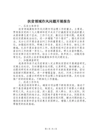 2024年扶贫领域作风问题开展报告