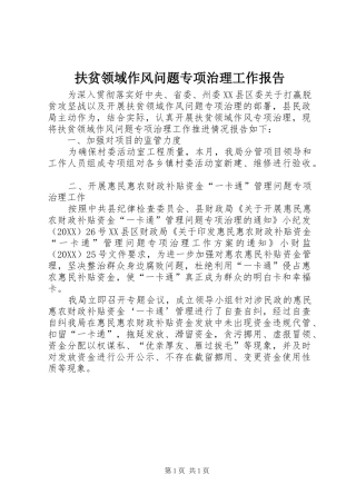 2024年扶贫领域作风问题专项治理工作报告
