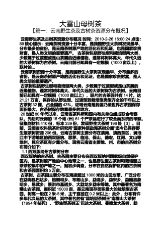 大雪山母树茶