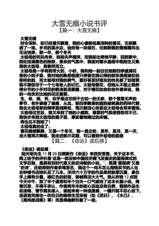 大雪无痕小说书评