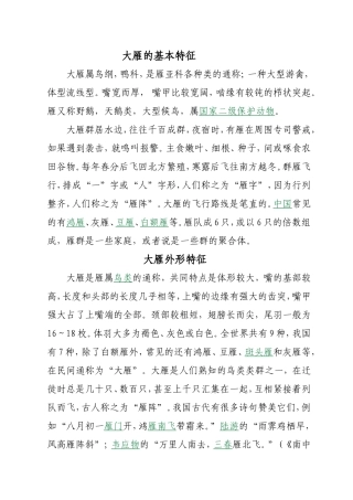 大雁精神及品格