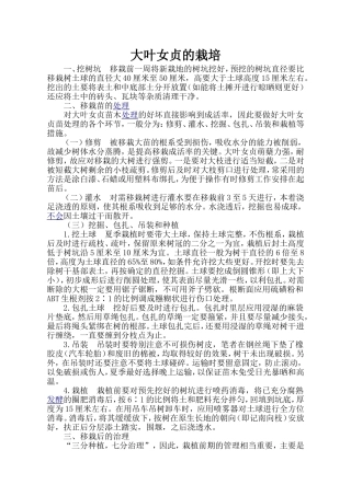 大叶女贞的栽培