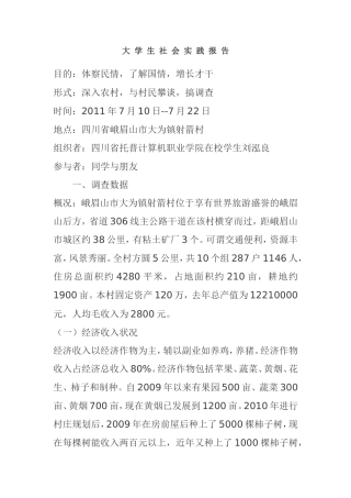 大-学-生-社-会-实-践-报-告