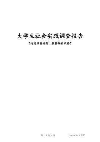 大学生社会实践调查报告(同名13278)