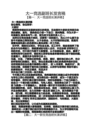 大一竞选副班长发言稿