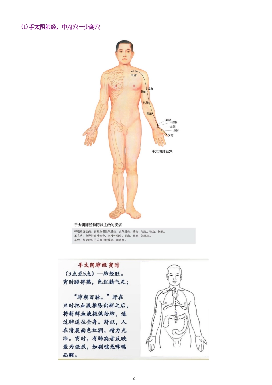 大周天巡行路线(附经络、穴位图)_第2页