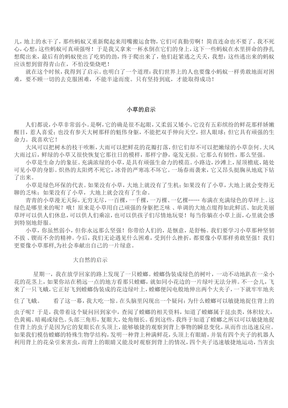 大自然的启示_第2页