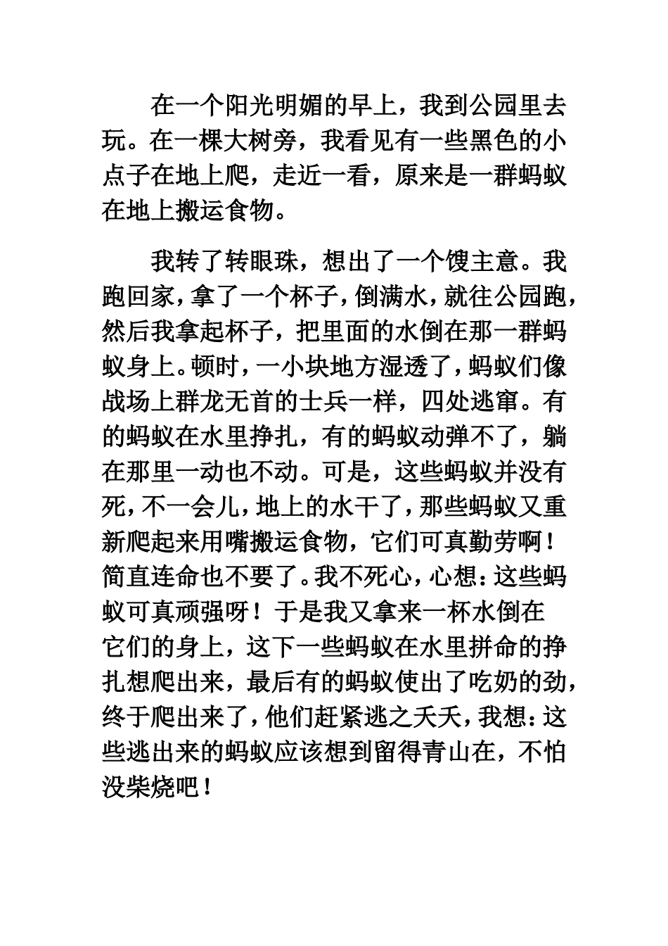 大自然的启示写作教学(1)_第3页