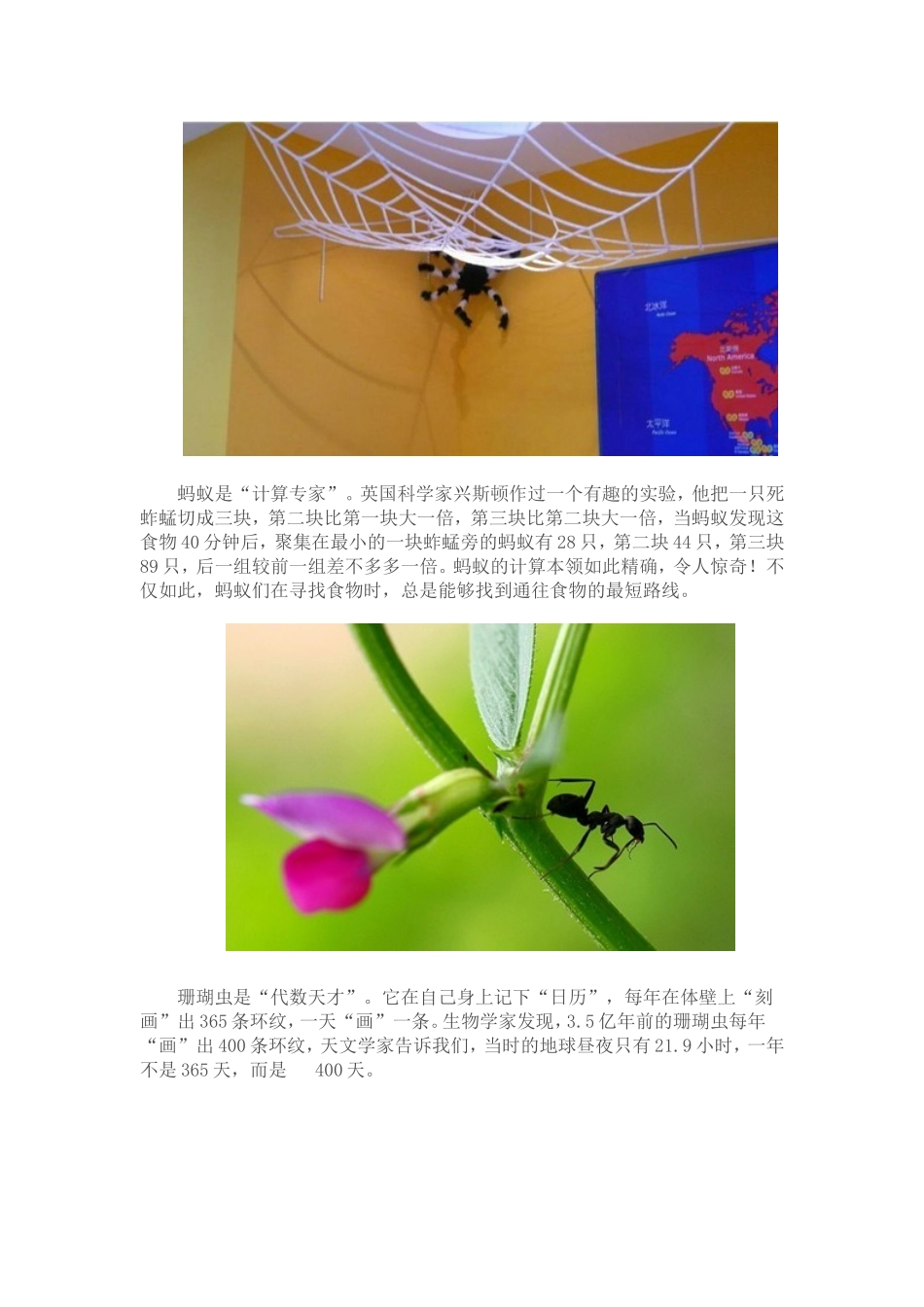 大自然中的数学家_第3页