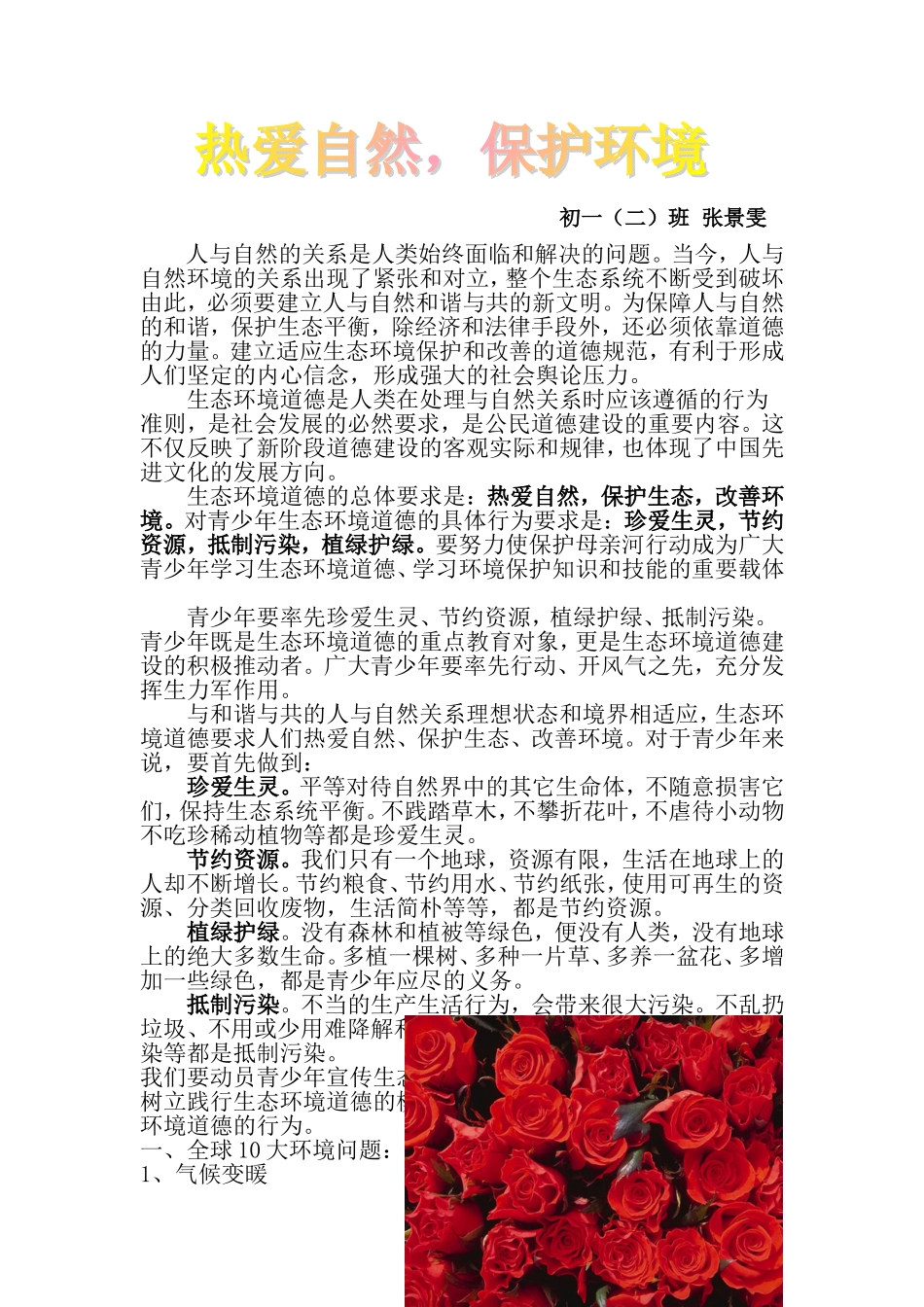 地理论文《保护环境》_第1页