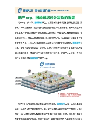 地产erp-国峰帮您设计复杂的报表