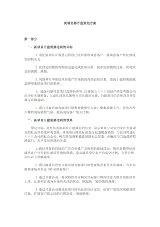 地产开盘方案