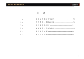 地产全案营销代理说明书(最新改)