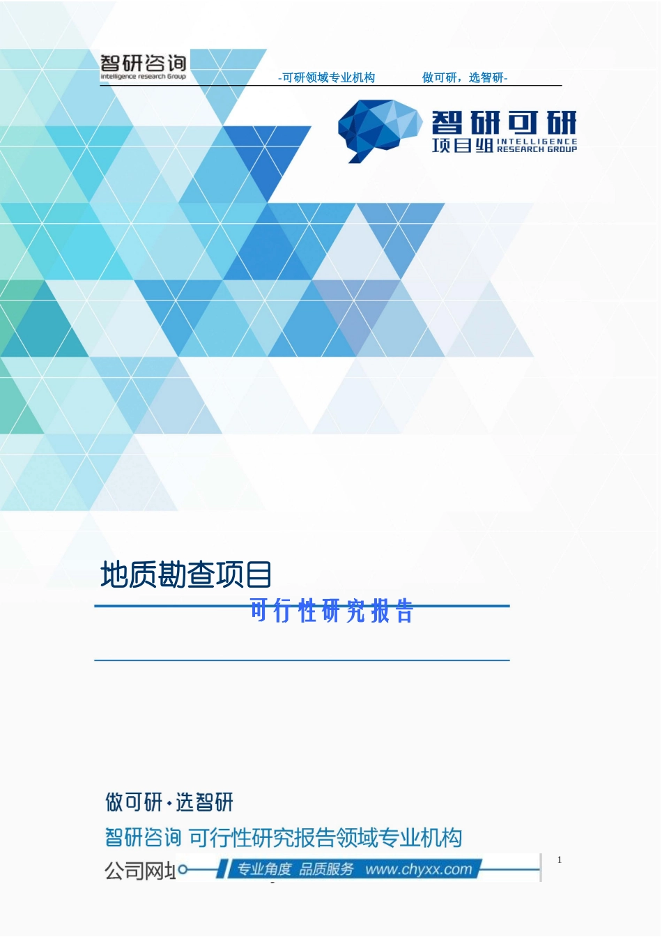 地质勘查项目可行性研究报告_第1页