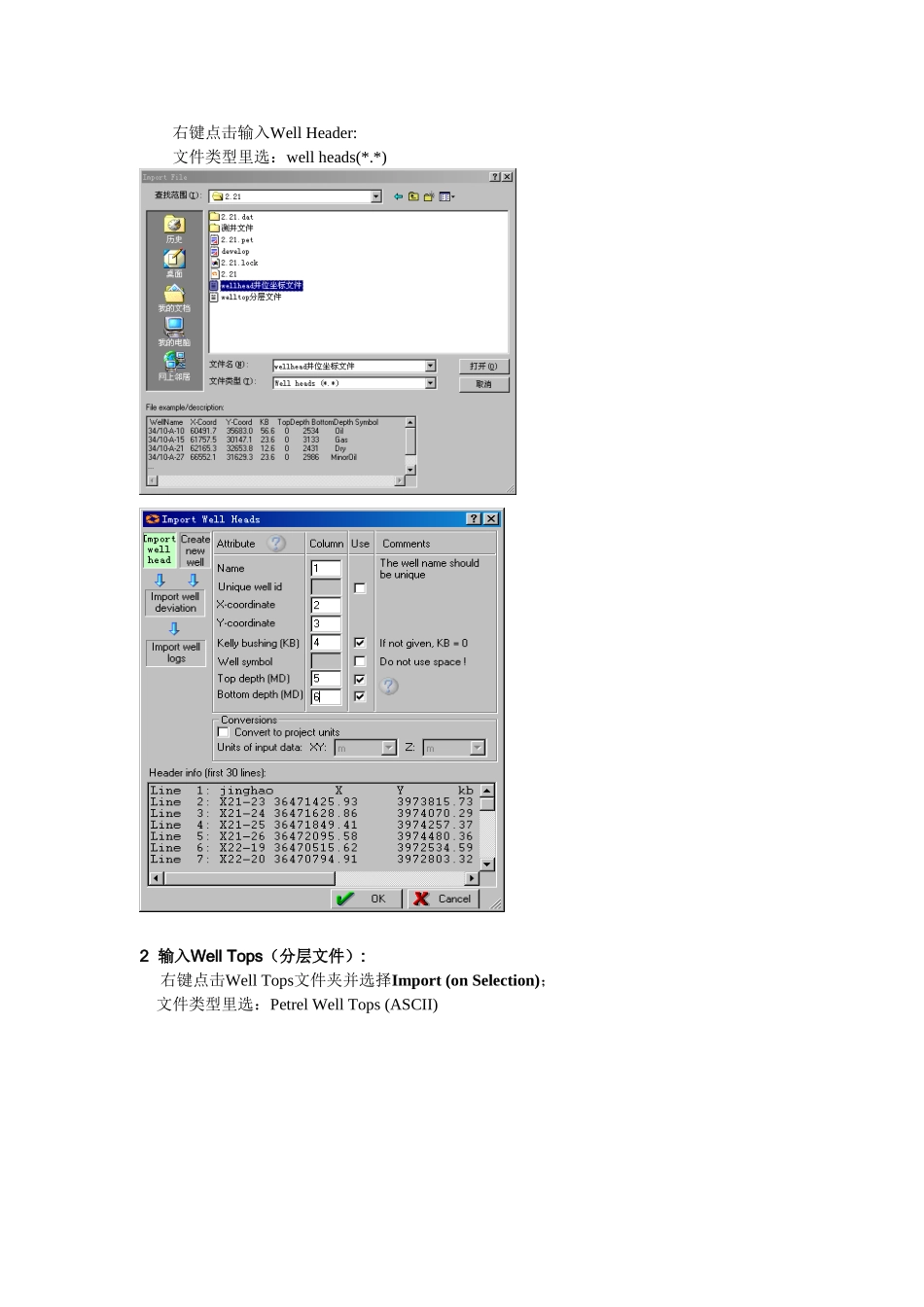 地质油藏建模流程_第2页