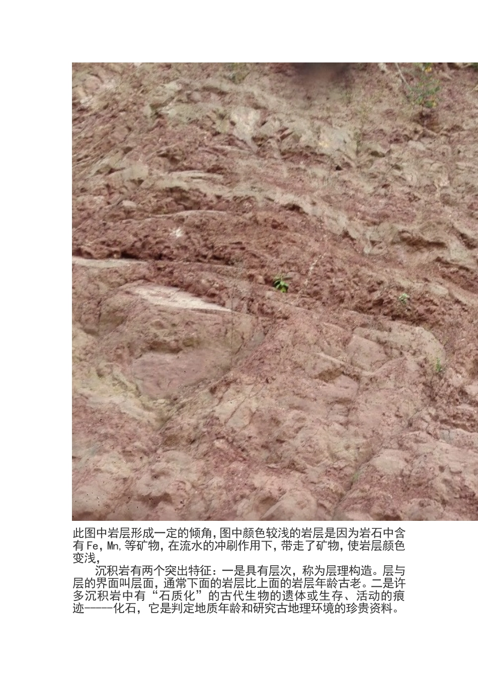 地质与地貌实习_第3页