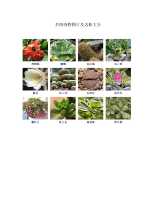 多肉植物图片及名称大全