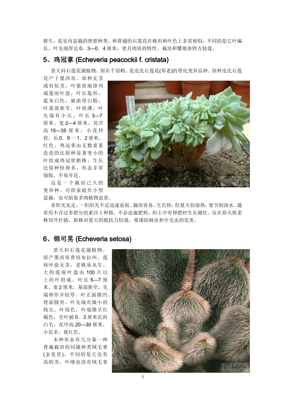 多肉植物习性及栽培要领大全_第3页