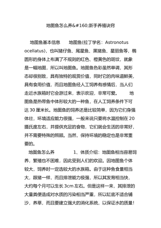 地图鱼怎么养新手养殖诀窍