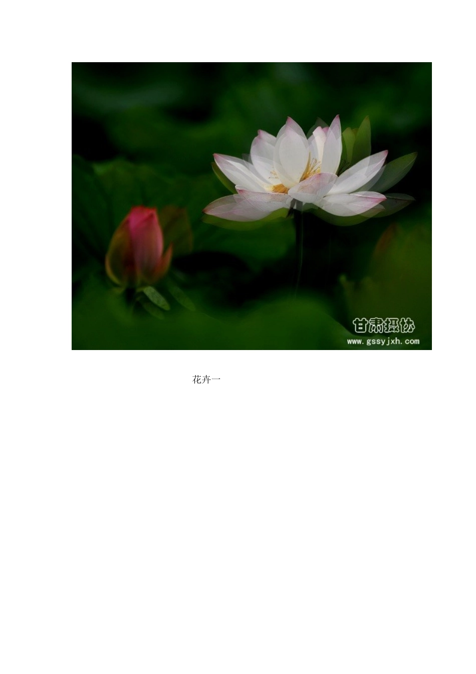 多重曝光和慢速摄影技巧_第3页