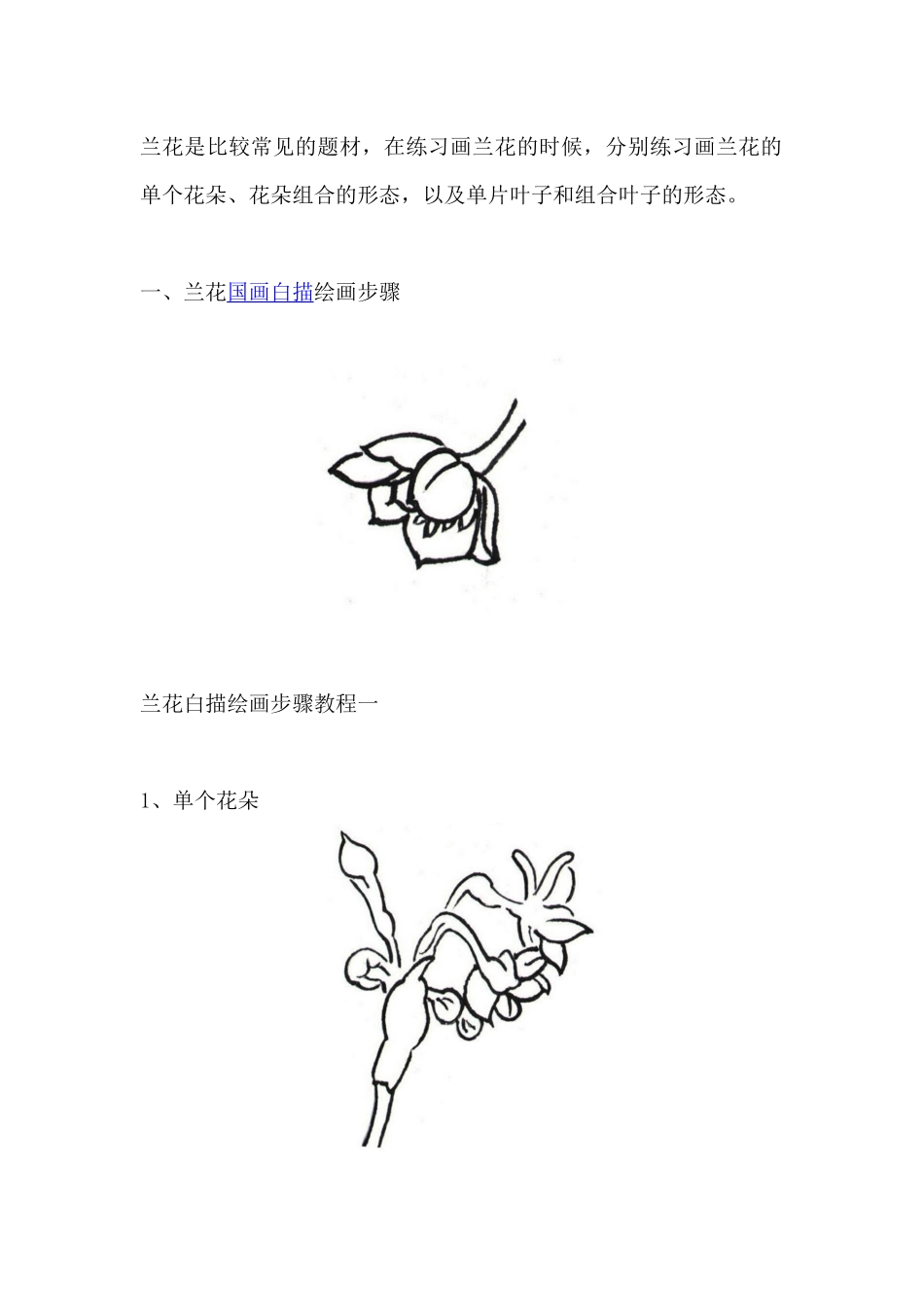 国画白描兰花绘画步骤教程_第1页