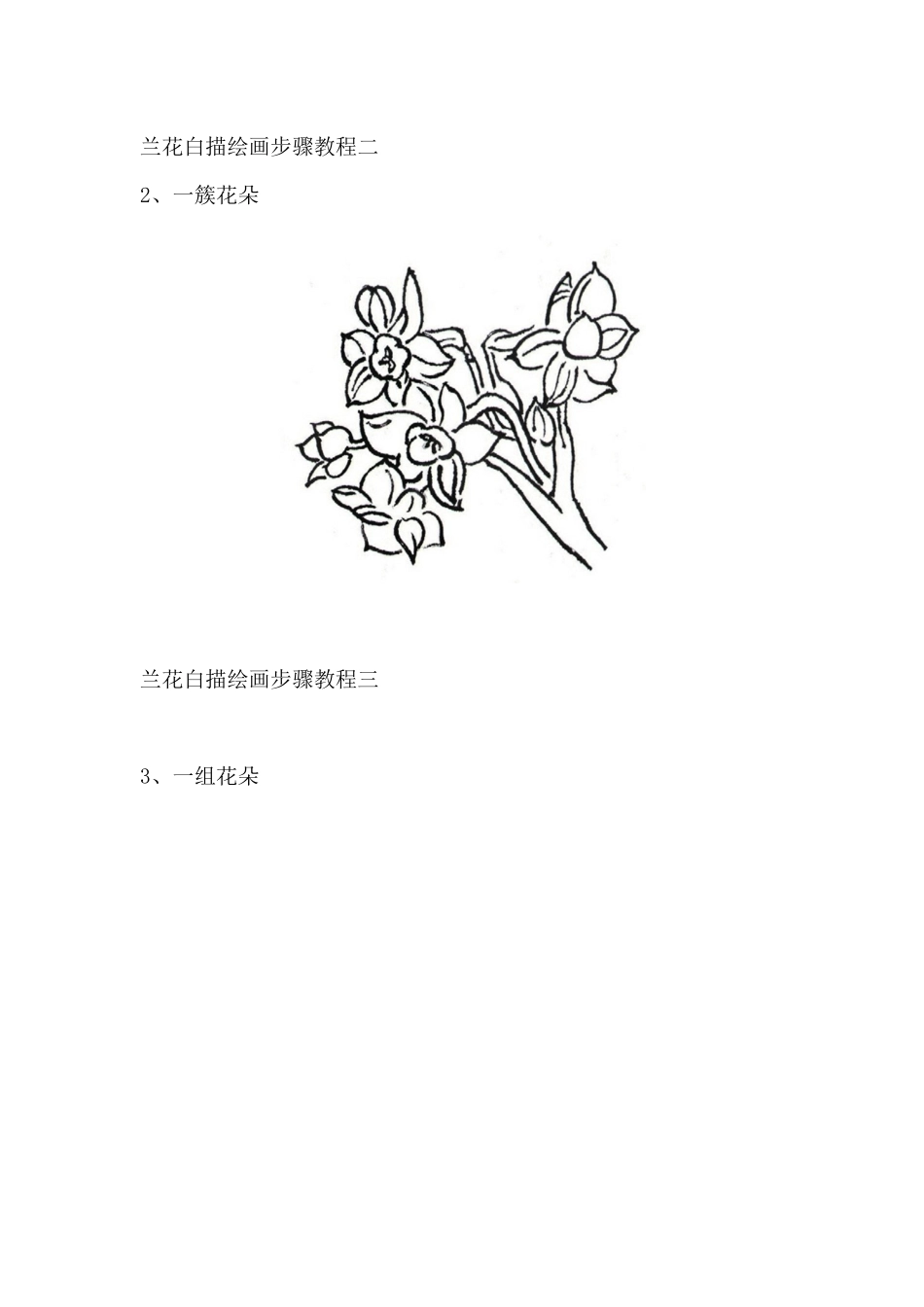 国画白描兰花绘画步骤教程_第2页