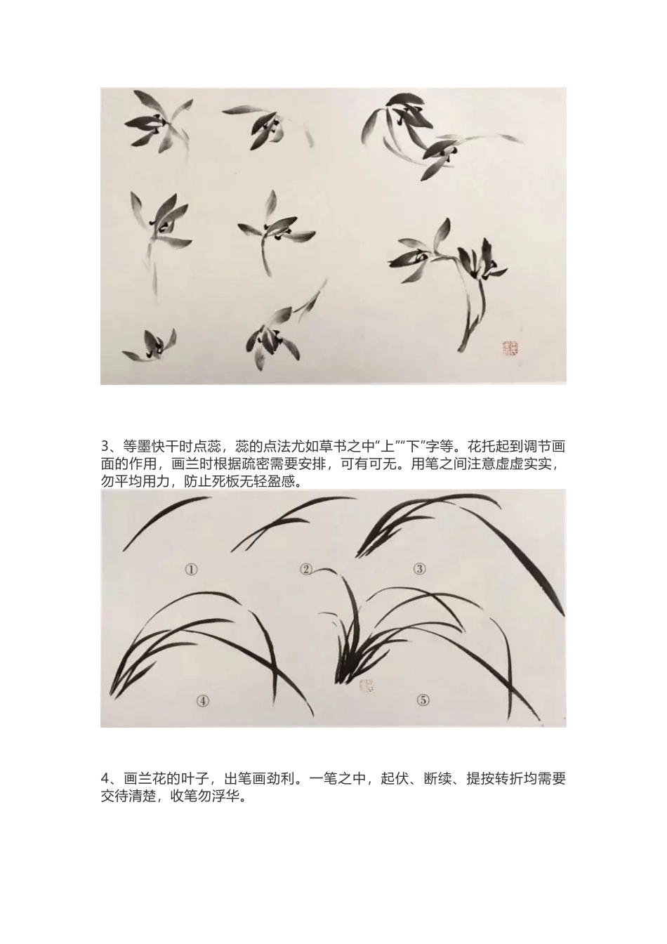 国画兰花绘画技法_第2页