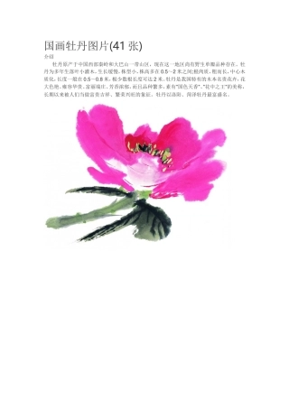国画牡丹图片(41张)