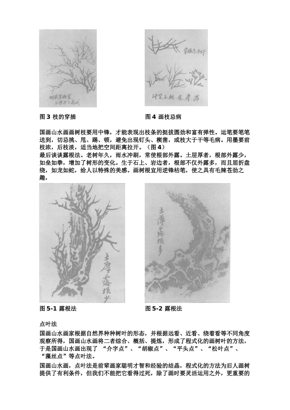 国画山水画-树的画法_第3页
