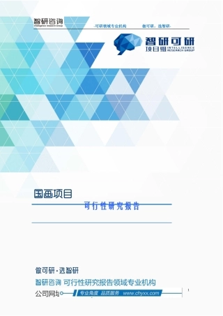 国画项目可行性研究报告