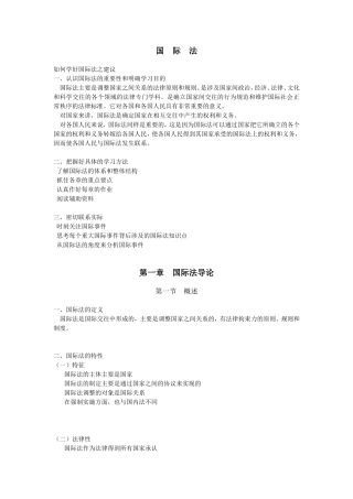 国-际-法.ppt.Convertor