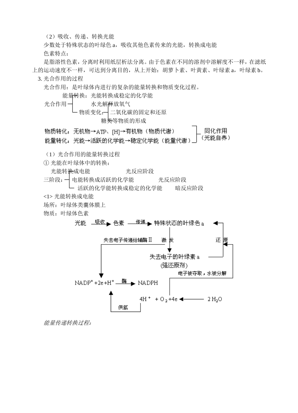 复习光合作用知识_第2页
