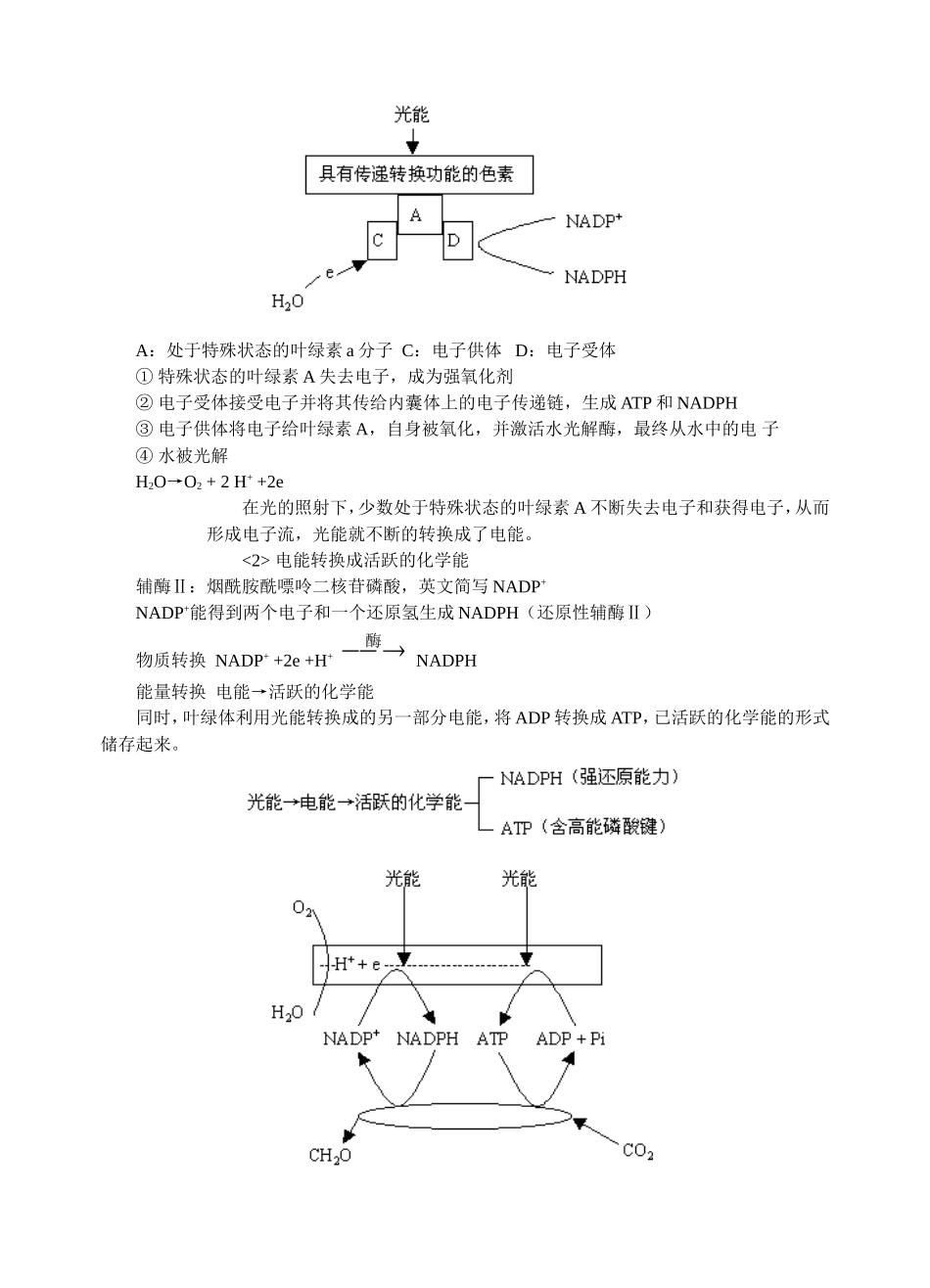 复习光合作用知识_第3页