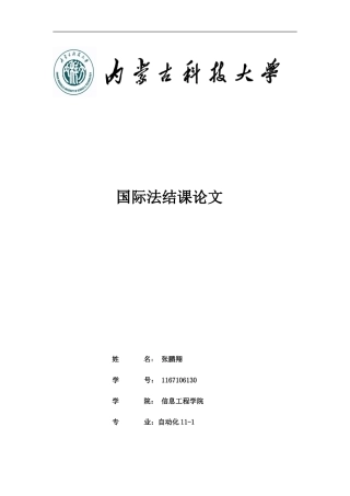 国际法课程论文