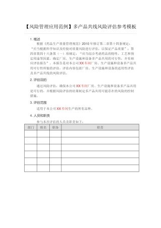 多产品共线生产风险评估模板