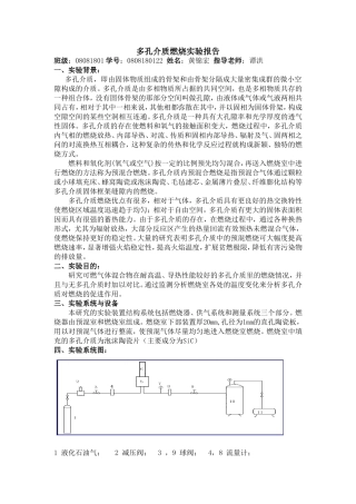 多孔介质燃烧实验报告0808180122