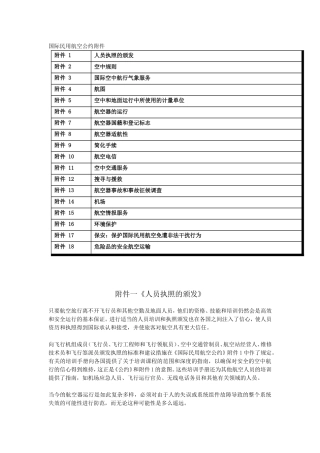 国际民用航空公约附件