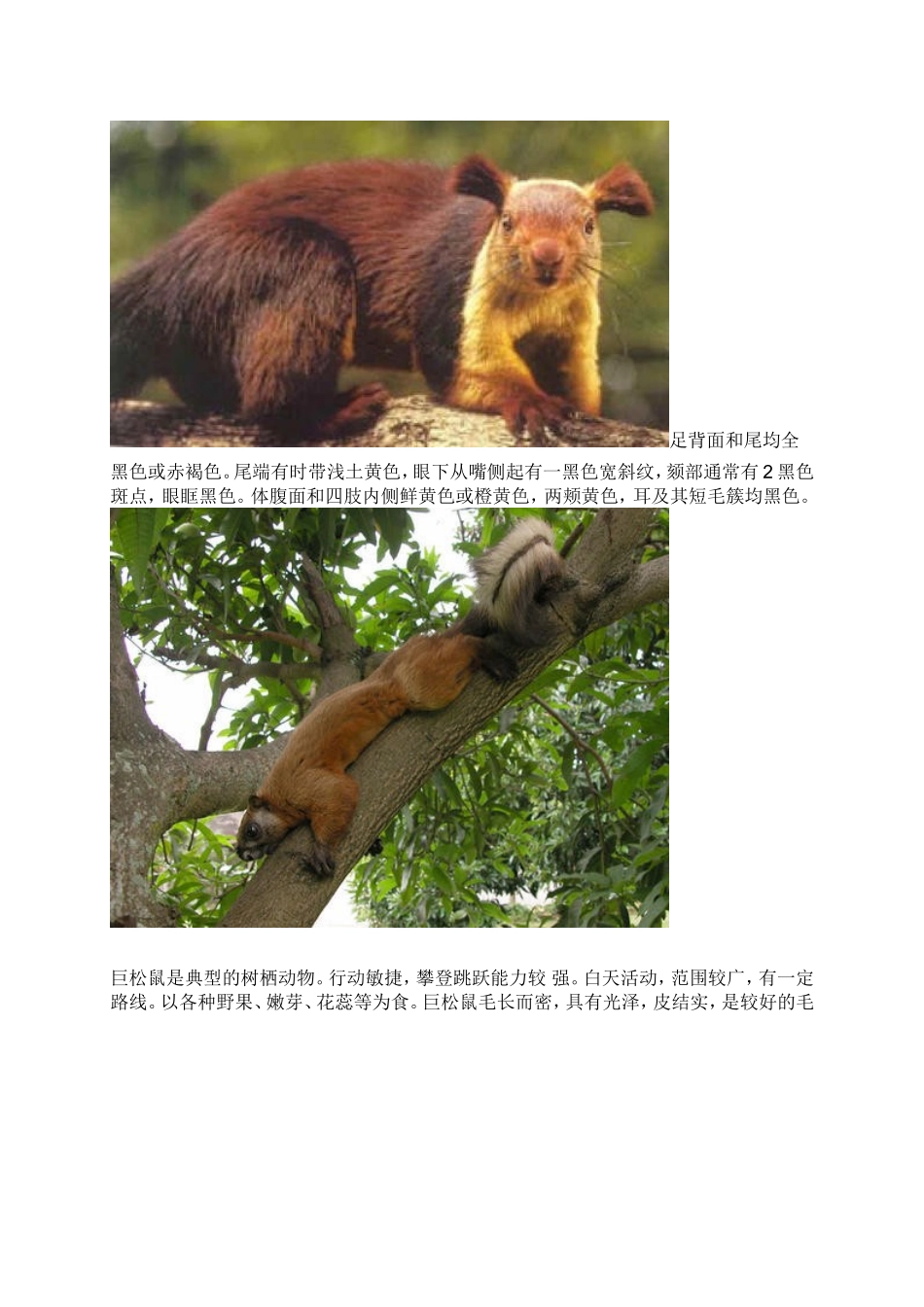 国家重点保护野生动物_第2页