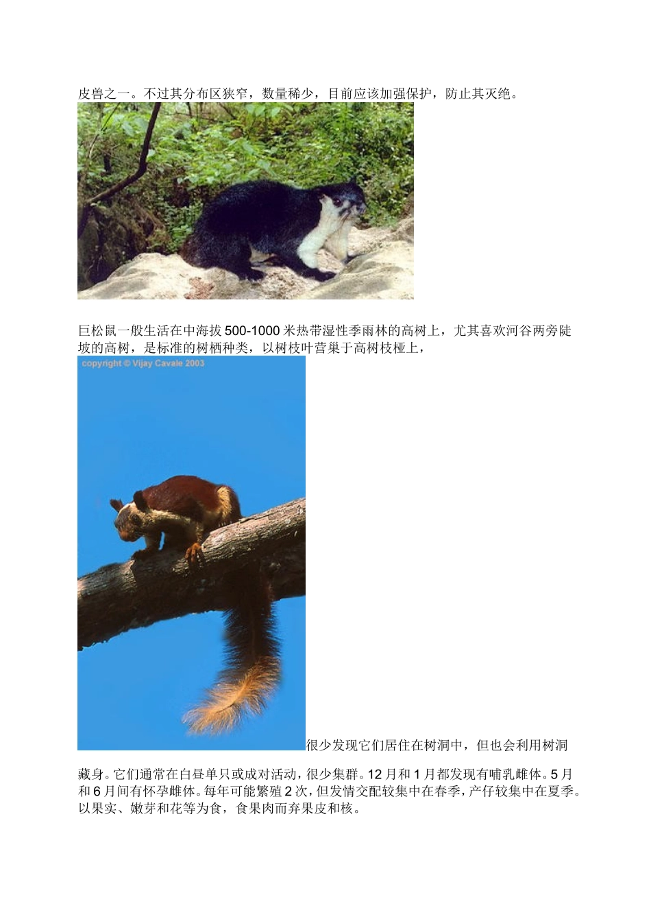 国家重点保护野生动物_第3页