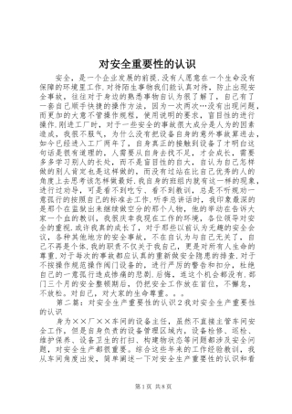2024年对安全重要性的认识