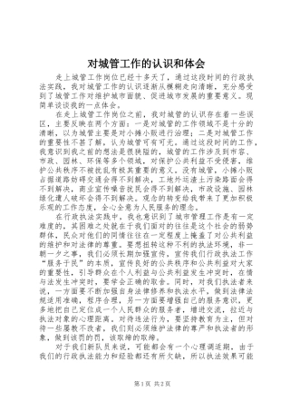 2024年对城管工作的认识和体会