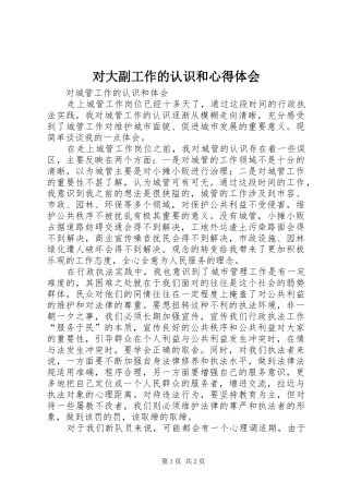 2024年对大副工作的认识和心得体会