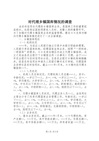 2024年对代理乡镇国库情况的调查