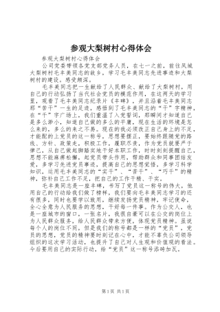 2024年参观大梨树村心得体会