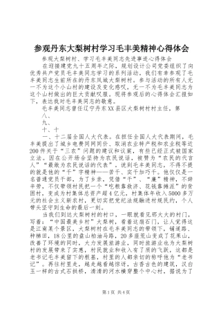 2024年参观丹东大梨树村学习毛丰美精神心得体会